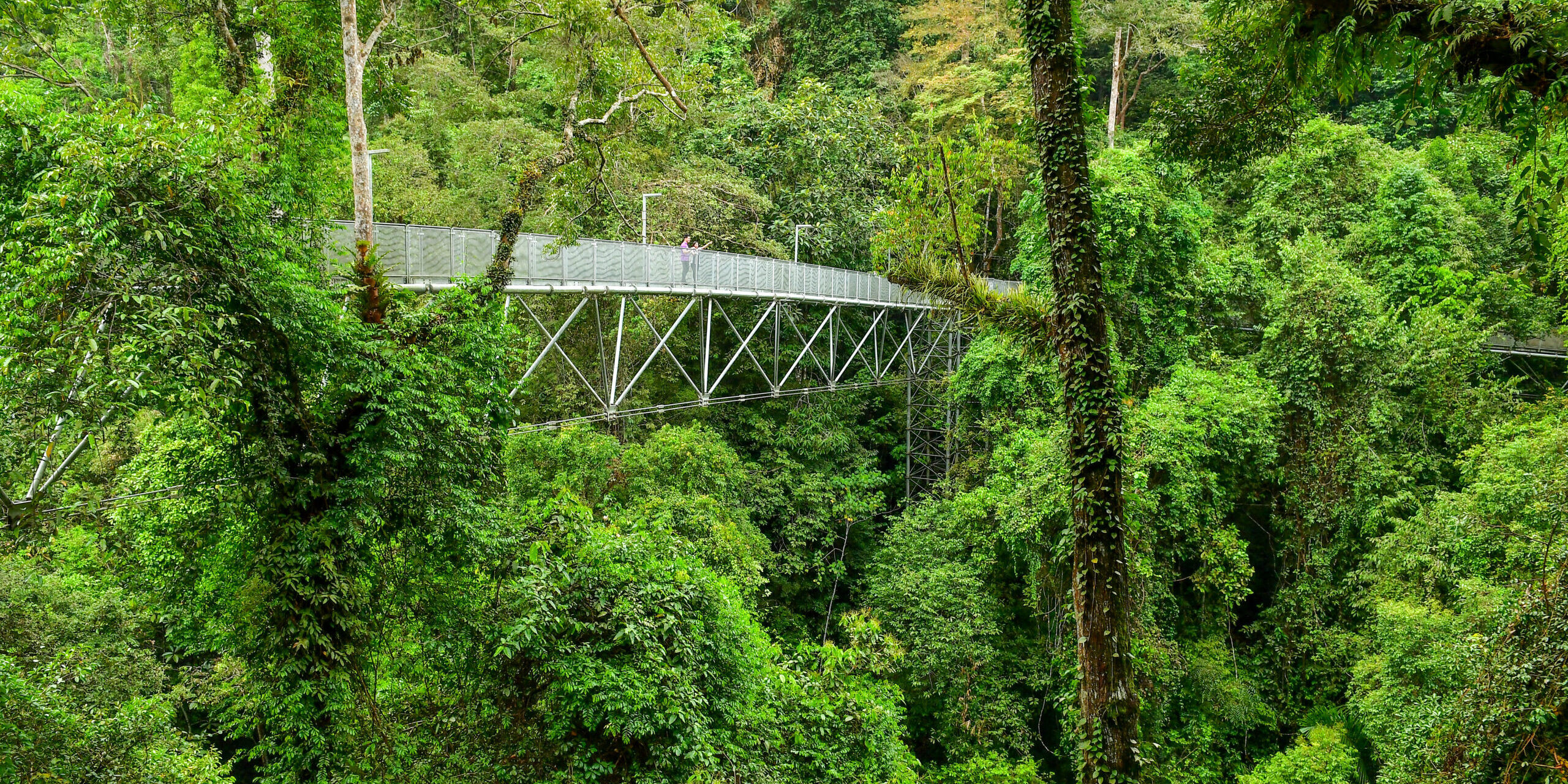 One Day Trip To Sungai Sedim Wildlife Eco Coach And Tours M Sdn Bhd